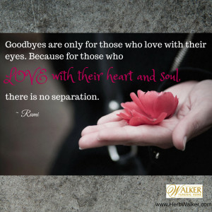 Quotes About Grief and Healing