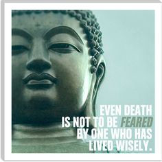buddha quote canvas print more buddha quotes quotes motivation ...