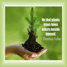He that plants tree loves others beside himself.