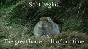 rolls #minipig #piglet #doberman #dog #animals #lol #pig