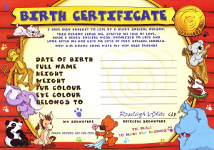 Teddy Bear Birth Certificate