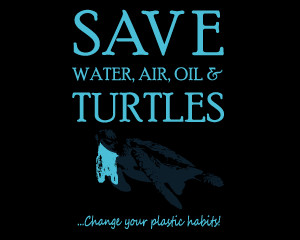 Plastic Bags, Sea Turtles, and Going Zero Waste