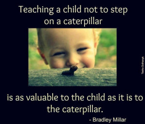 Seven Characteristics Of Living Things