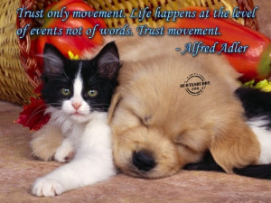 nice about trust quote cute cat and dog