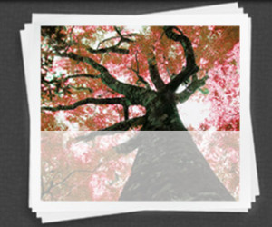 Reading is fun. Reading is food for the soul. Read books and enrich ...