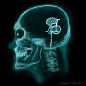 funny x ray cartoon pictures