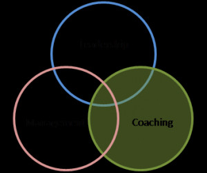 many organizations and senior executives use external coaches on a ...