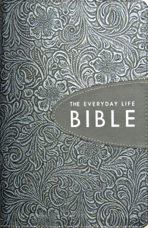 Amplified Everyday Life Bible - Pewter Grafite Bonded Leather