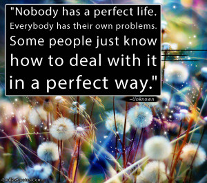 Nobody Has Perfect Life Everybody Their Own Problems Some Quoteko