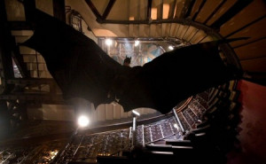 Batman Begins Movie Quotes