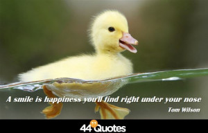 Home > Quote > Tom Wilson – A smile is happiness you’ll find right