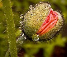 Improve the quality of Make Me Proud Lyrics by leaving a suggestion at ...