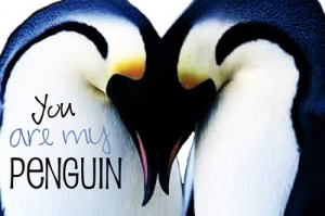 You are my penguin.