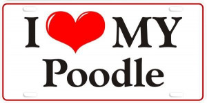 All Graphics » poodle love