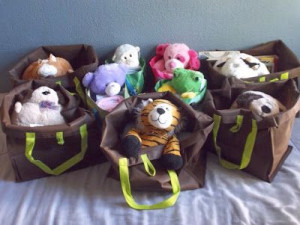 ... : Each bag has a stuffed animal, a blanket, abook, and a toothbrush
