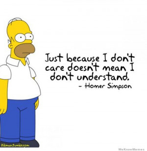 ... don’t care doesn’t mean I don’t understand – Homer Simpson