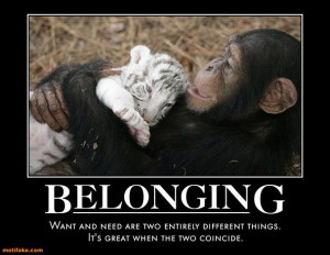 ... Quotes Inspirational, Soldiers Quotes, Motivation Quotes, Motivational