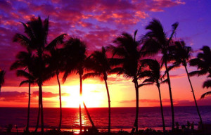 Hawaii is made up of eight main islands, all that cater to a different ...