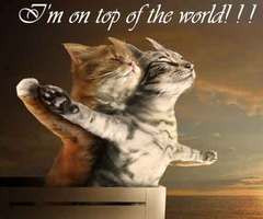 On Top Of The World. ~ Cat Quotes