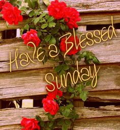 Blessed Sunday More