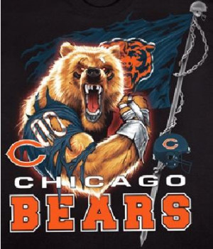 am a HUGE Chicago Bears fan, so....