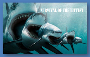 Quotes Survival Of The Fittest ~ Sample English Site - Blog
