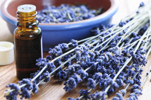 benefits of aromatherapy and benefits of different essential oils that ...