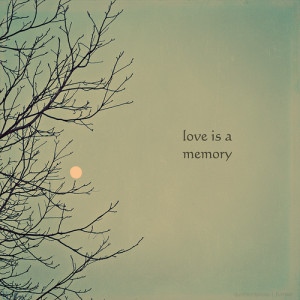 grazithings reblogged this from quotesnlyricss