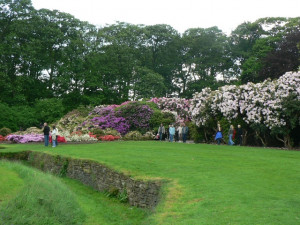The Rhododendron Walk, Temple Newsam. Quote from the Temple Newsam ...