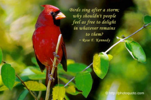 ... feel as free to delight in whatever remains to them? ~ Rose F. Kennedy