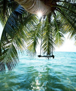 beach, palm tree, sand, sea, summer, sun, water