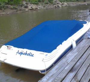 Quote Black Swan Motorcycles Fire And Ice Team Jacob Jacob Quotes