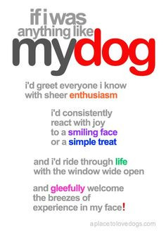 ... .com •• if i was anything like my dog - A Place to Love Dogs More