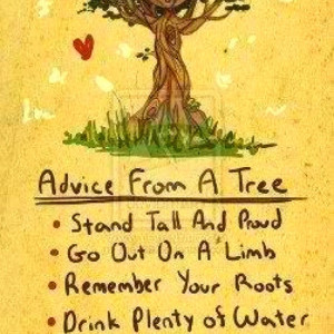 Be Like A Tree!!