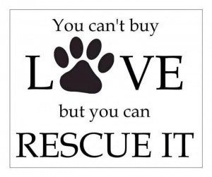 You Can't buy LOVE. But, you CAN RESCUE them.