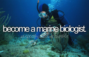 Become a marine biologist ♥ this used to be the top thing on my ...