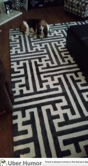 Wife got a good deal on a rug. Upon further inspection I see why.