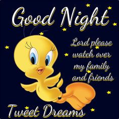 Good night my tweetyful sister's! Have tweet dreams! LY More