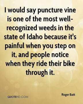 would say puncture vine is one of the most well-recognized weeds in ...