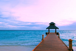 This entry was posted in Maldive Hotels . Bookmark the permalink .