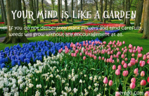 Myspace Graphics > Life Quotes > your mind is like a garden Graphic