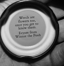 if you ever feel weak or ...