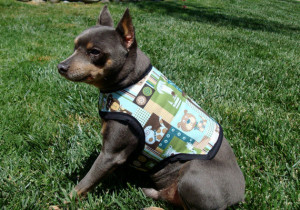 - Adopt Me Dog Vest - Therapy Dog Vest - Deaf Dog Vest - Blind Dog ...