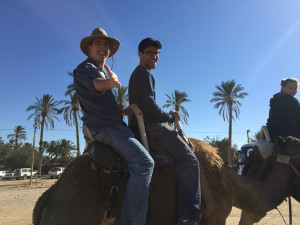 HaMirpeset Shelanu 203: From Jacob Cytryn, Director