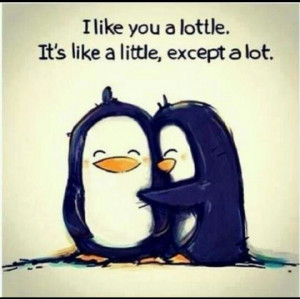 really do like you a lottle