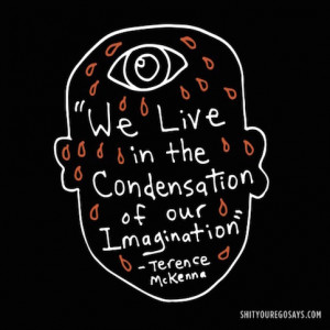 Imagination Condensed