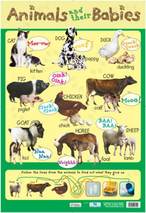 New Animals and their Babies Down On The Farm Mini Poster