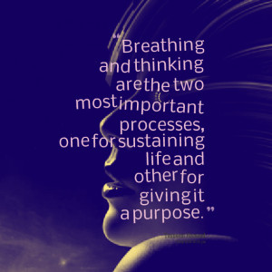 Quotes Picture: breathing and thinking are the two most important ...