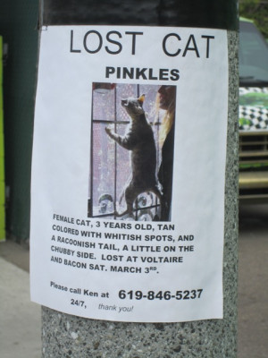 Pinkles” is missing, and has been away from its owner since March ...