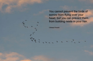 You cannot prevent the birds of sorrow from flying over your head, but ...